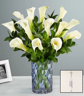 White Calla Lilies