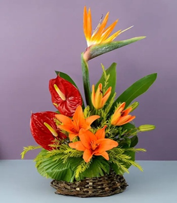 Anthuriums and Birds Of Paradise Arrangement