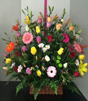 Gerberas and Roses