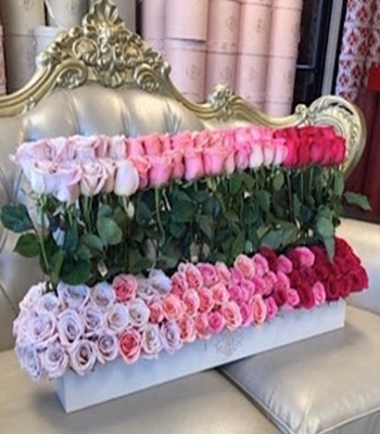 Multi Color Roses - Premium Assorted Roses