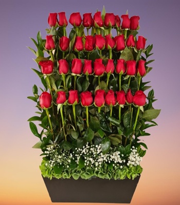 Red Rose Arrangement - 36 Stems