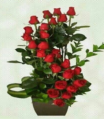 Red Rose Arrangement - Large Red Roses