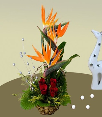 Red Roses & Birds of paradise Arrangement