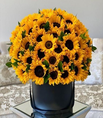 Sunflower Box