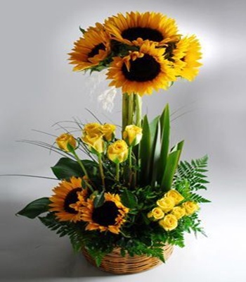 Sunflowers