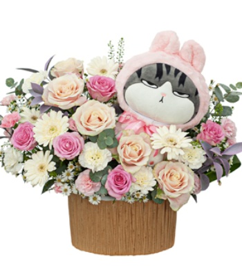 12 Rose Arrangement with Cutie Bear