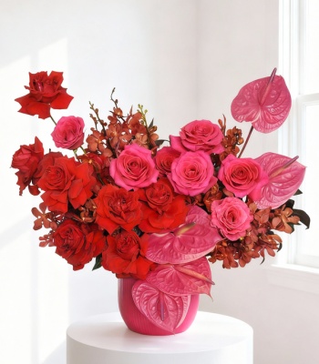 Cheer Up Flowers