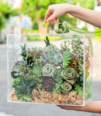 Elegant Succulent Mica Box