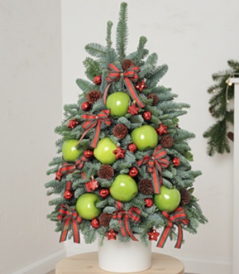 Fresh Fruit Christmas Tree