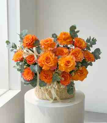 Golden Opportunity Flowers