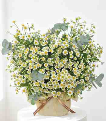 Love Flowers
