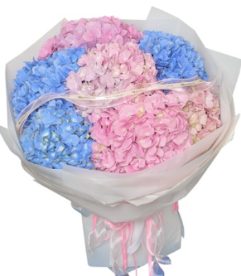 Pink and Blue Hydrangea Bouquet