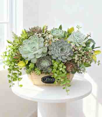 Stone Lotus Flowers Arrangement