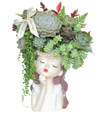 Succulent Girl  Creative Decorative Statue for Modern Gifts