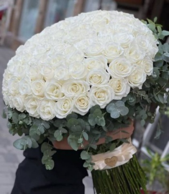 100 White Roses